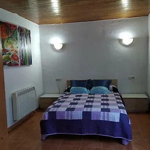 Loli , Berga España